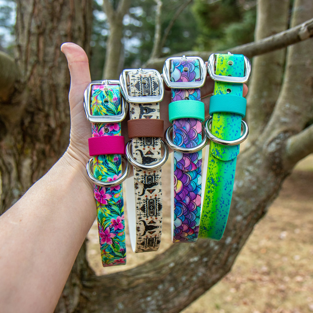 UV-Printed BioThane® Waterproof Dog Collars 