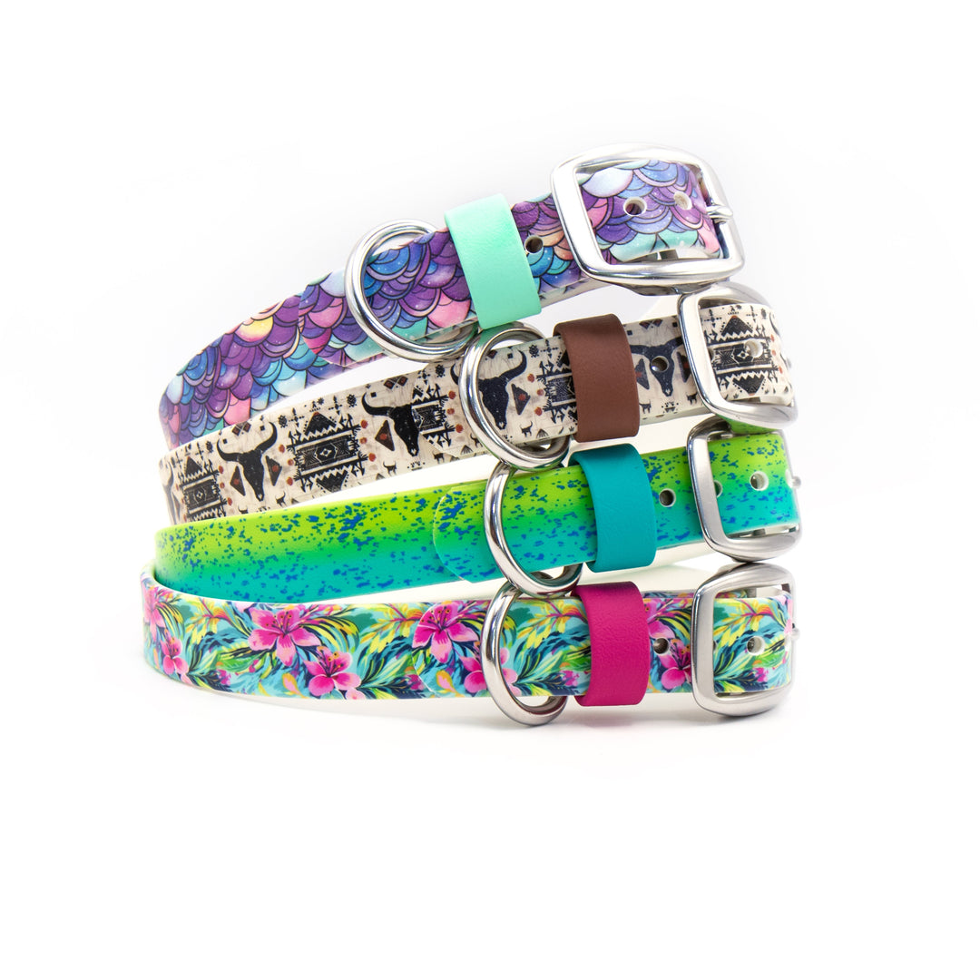 UV-Printed BioThane® Dog Collars | Waterproof Pet Gear