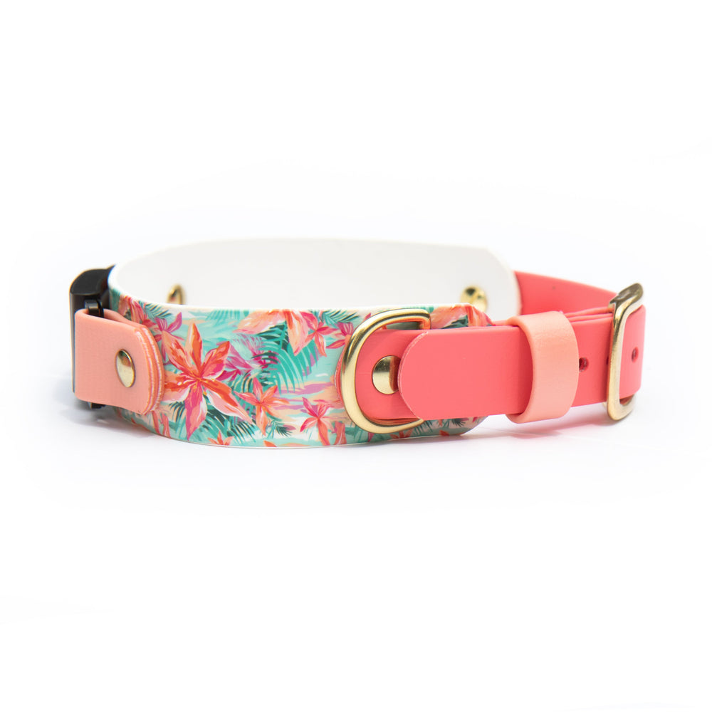 1.5" Fi Compatible 3/3+ Waterproof UV Printed BioThane Collar | SeaFlower Co