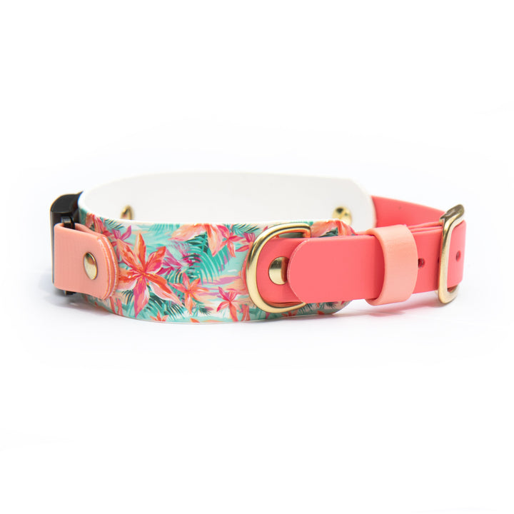 1.5" Fi Compatible 3/3+ Waterproof UV Printed BioThane Collar | SeaFlower Co
