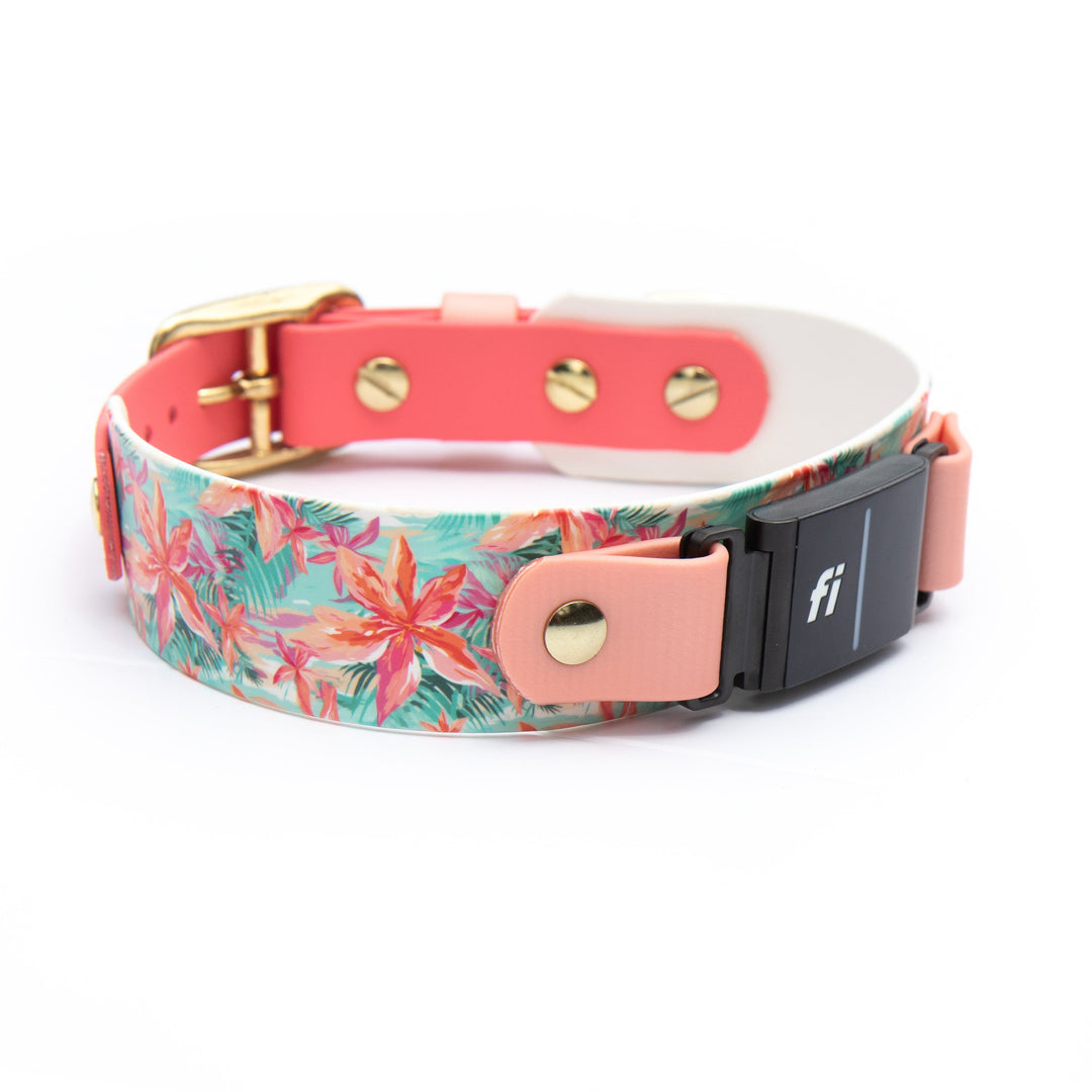 1.5" Fi Compatible 3/3+ Waterproof UV Printed BioThane Collar | SeaFlower Co