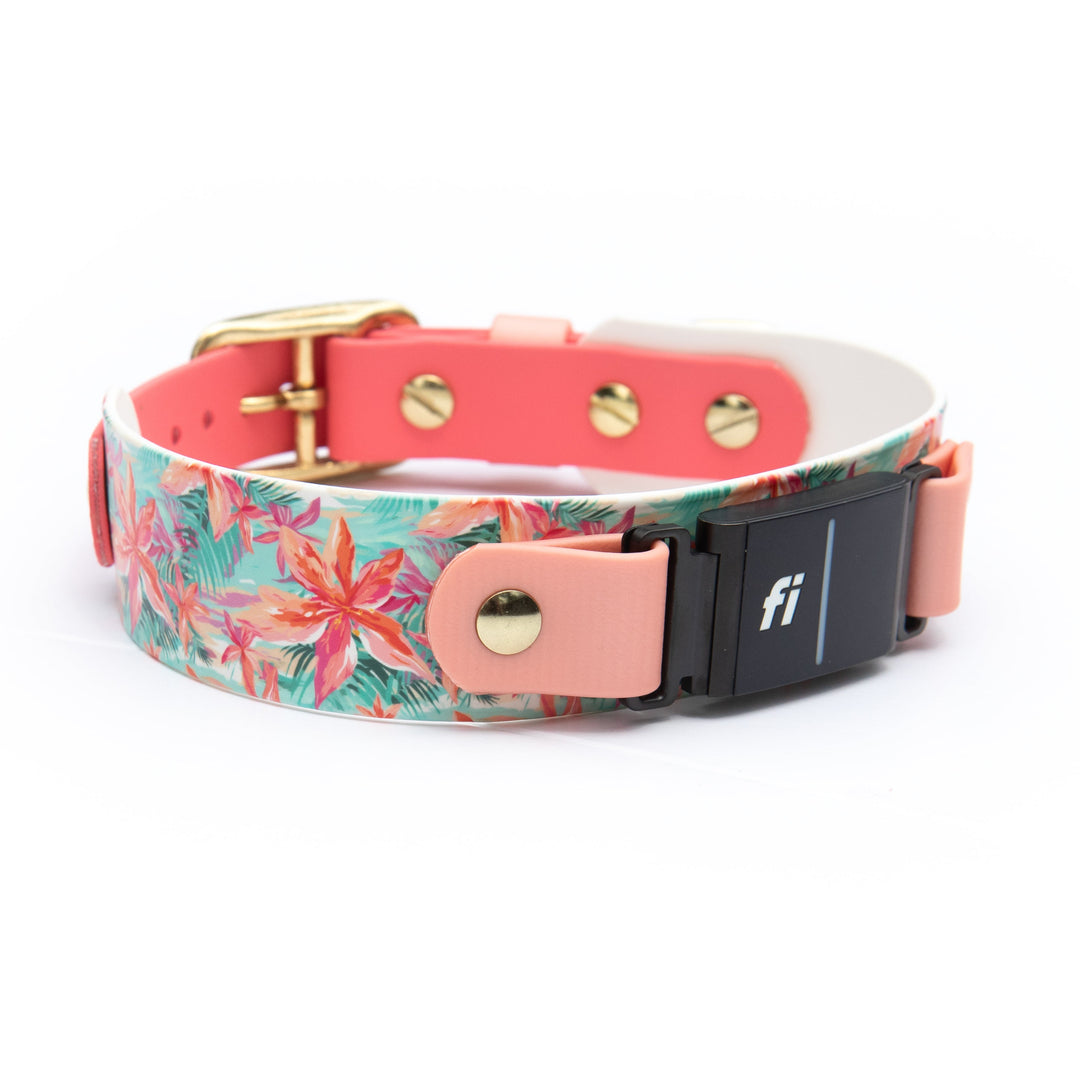 1.5" Fi Compatible 3/3+ Waterproof UV Printed BioThane Collar | SeaFlower Co