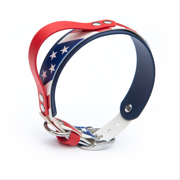 American Flag UV-Printed BioThane Collar With Quick Control Handle