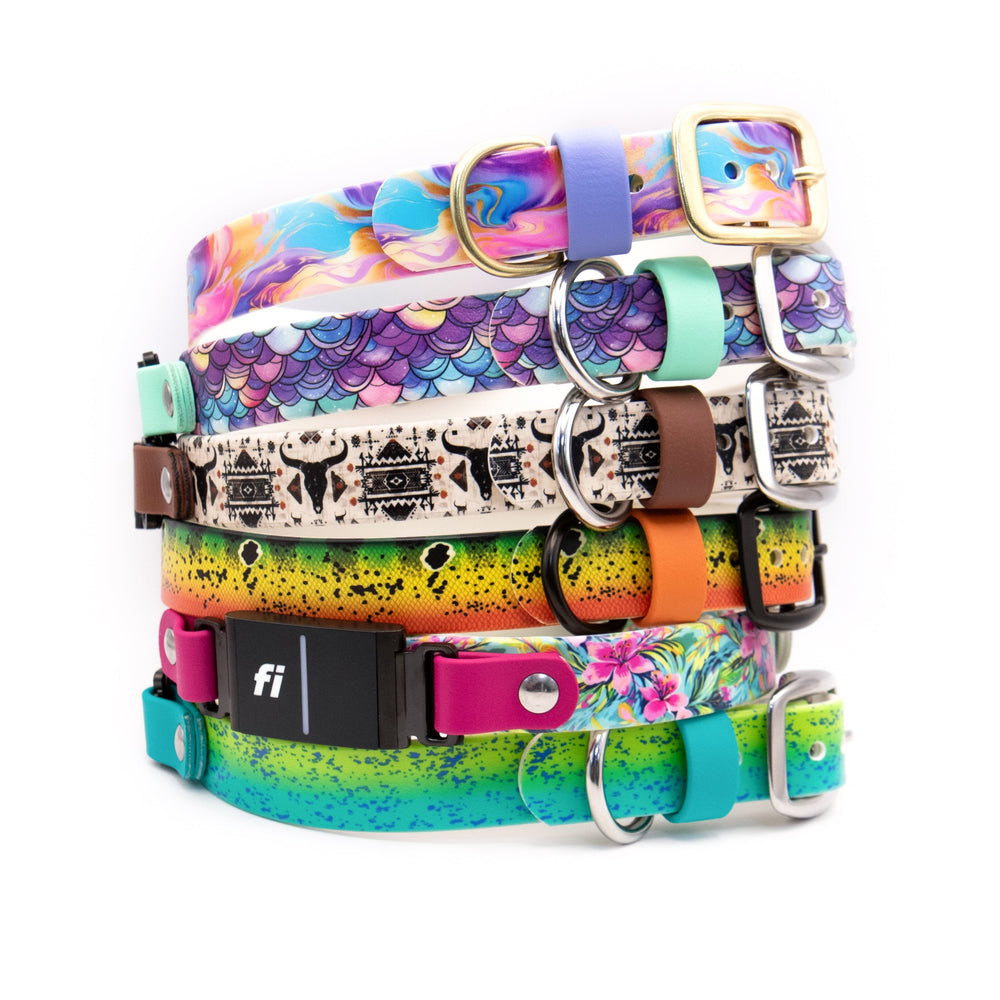 Fi Compatible 3/3+ UV-Printed BioThane® Collars | Waterproof Fi Compatible Gear