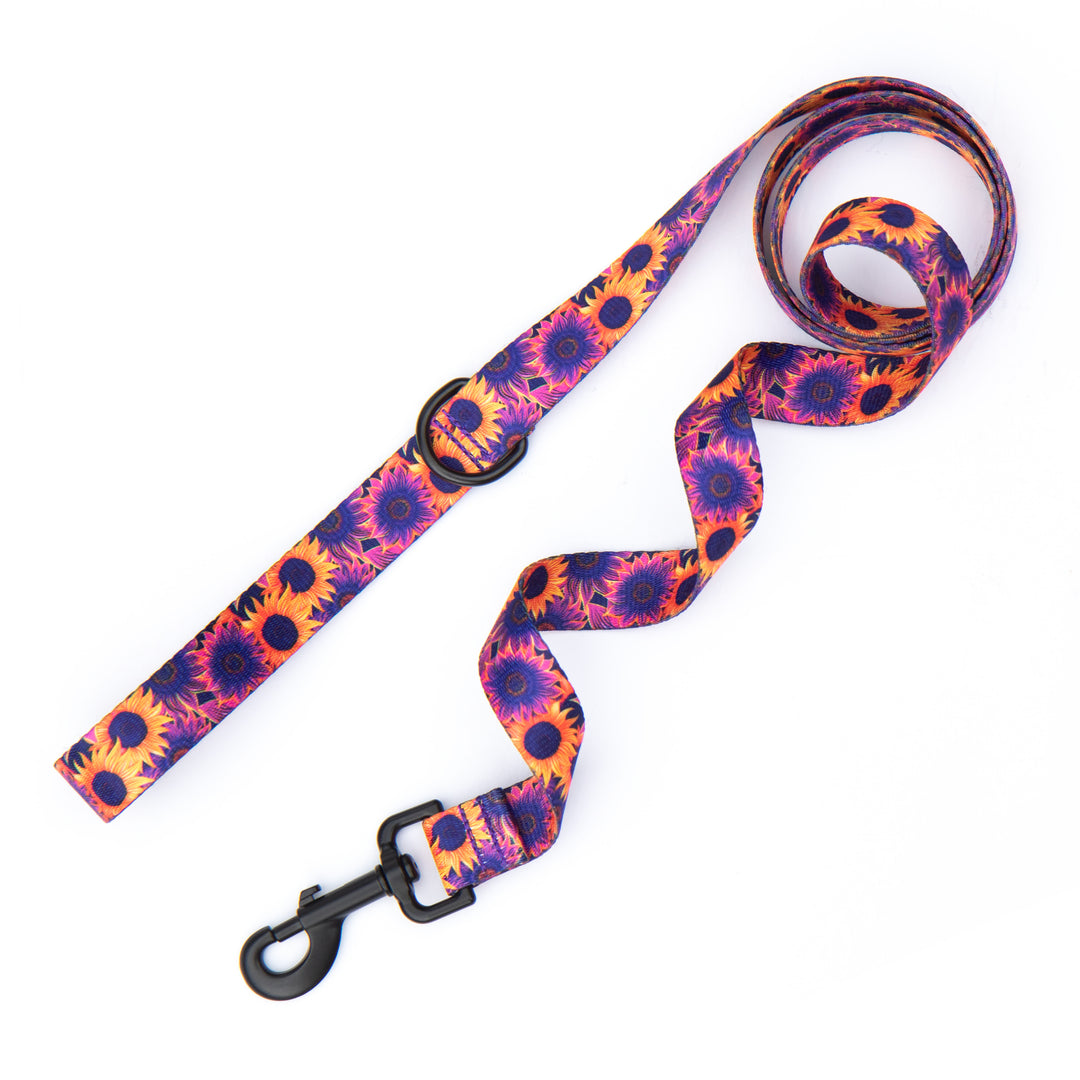 Colorful sunflower patterned dog leash on a white background