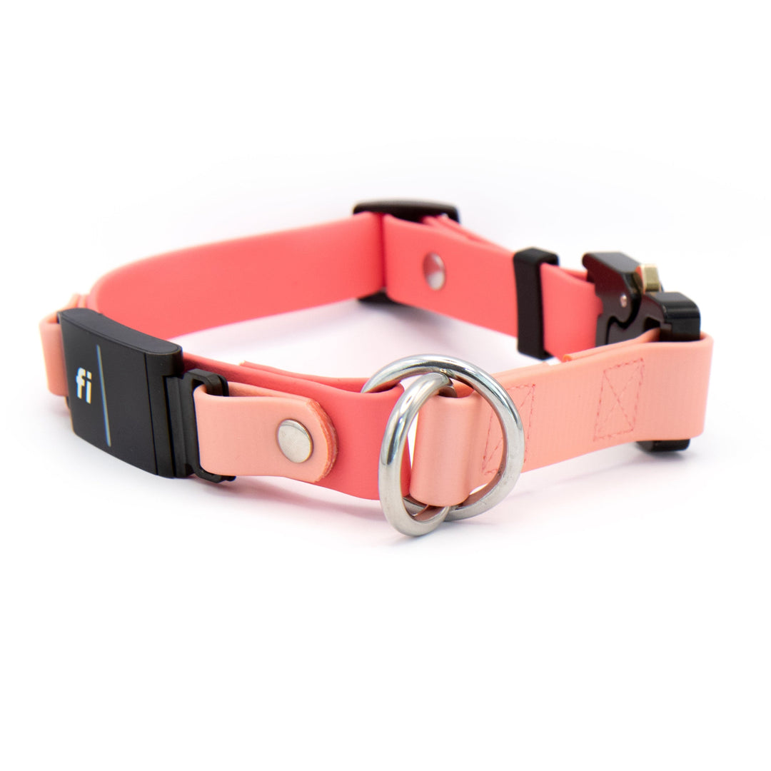 Fi Compatible 3/3+ Limited Slip Adjustable BioThane® Pet Collar With Quick Release Buckle | Waterproof Dog Gear