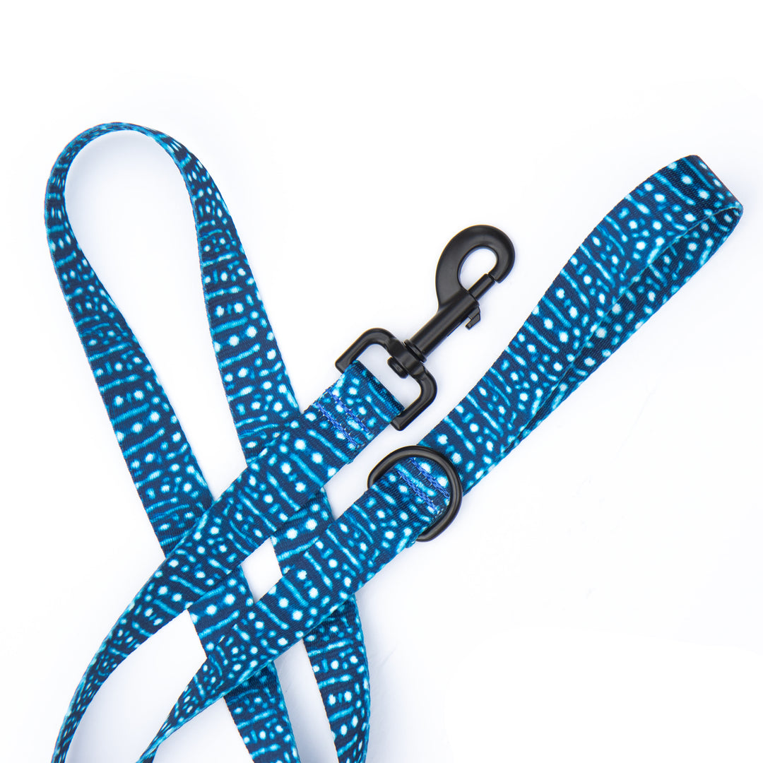 Whale Shark Leash