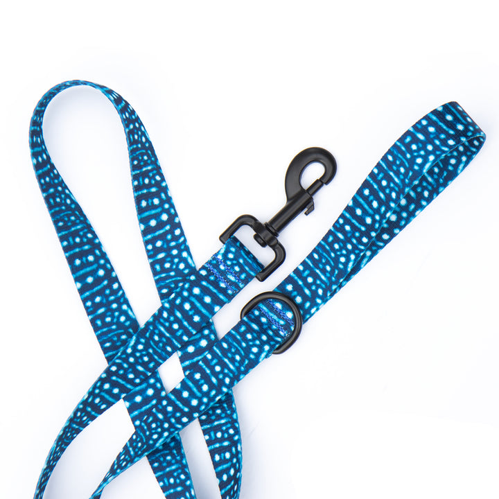 Whale Shark Leash