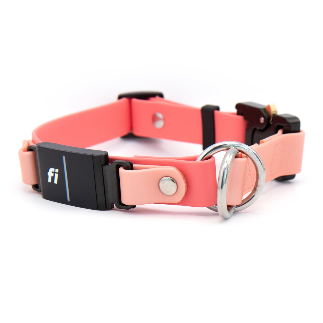 Fi Compatible 3/3+ Limited Slip Adjustable BioThane® Pet Collar With Quick Release Buckle | Waterproof Dog Gear
