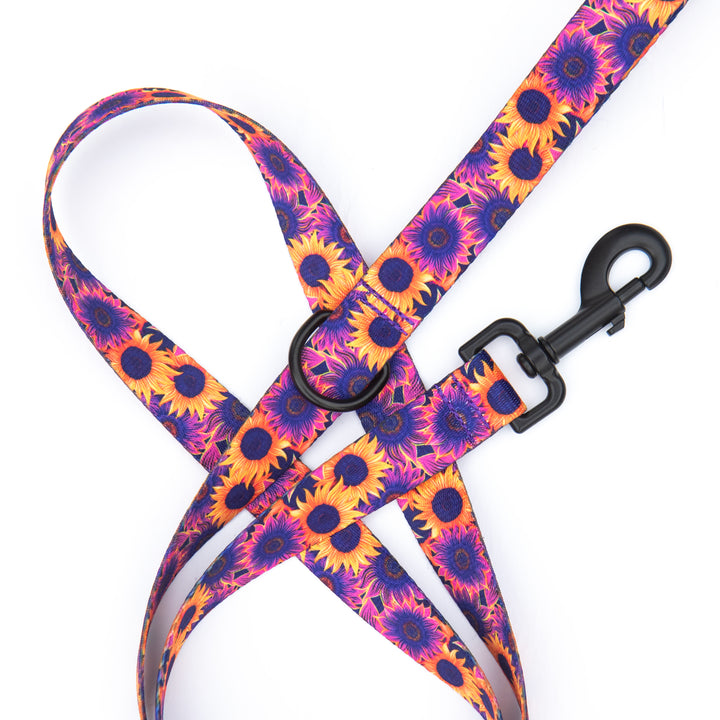 Colorful sunflower patterned dog leash on a white background