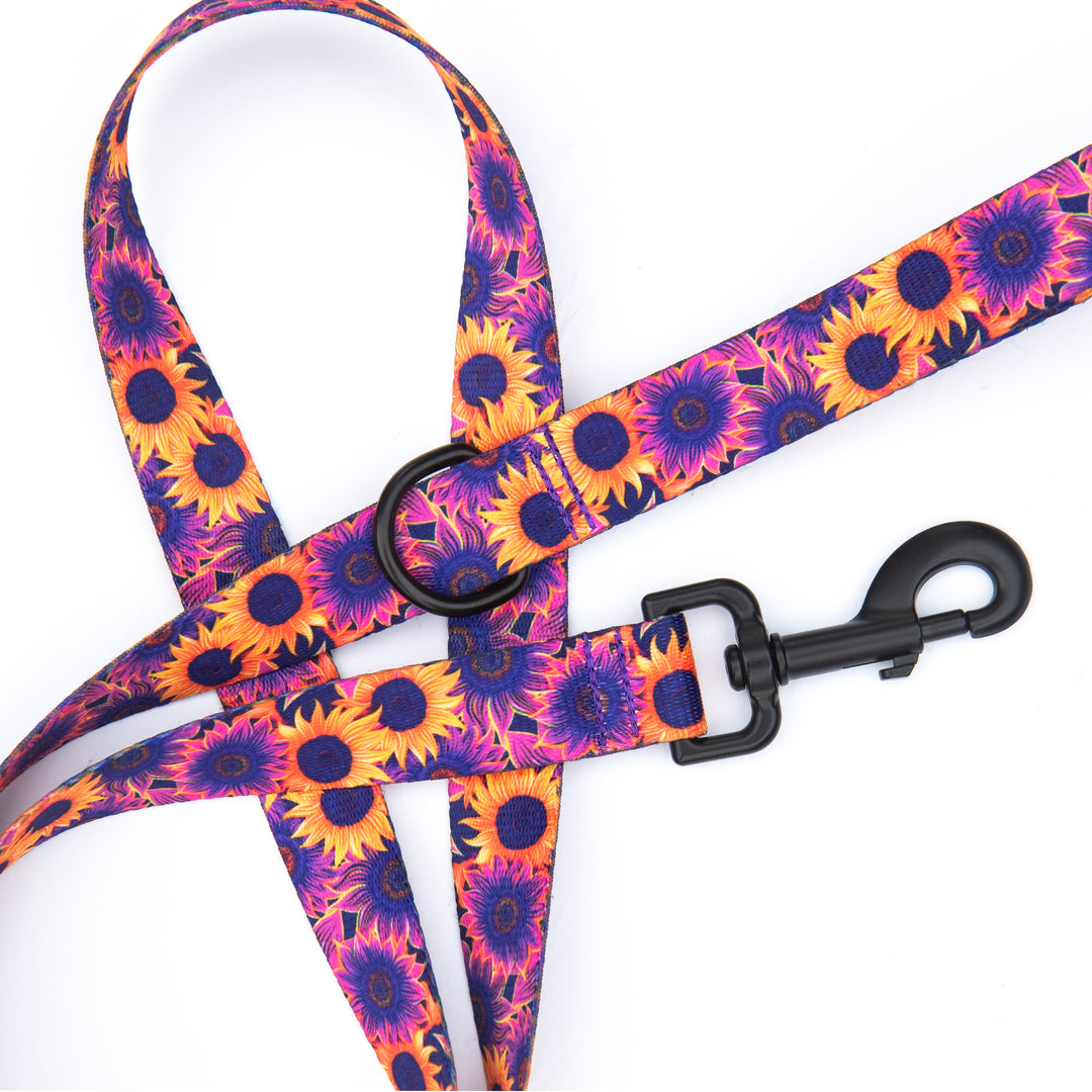 Colorful sunflower patterned dog leash on a white background
