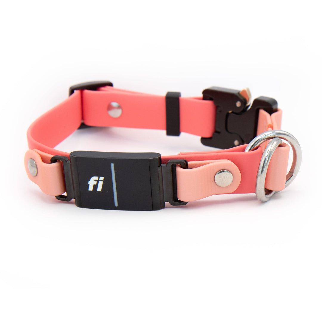 Fi Compatible 3/3+ Limited Slip Adjustable BioThane® Pet Collar With Quick Release Buckle | Waterproof Dog Gear