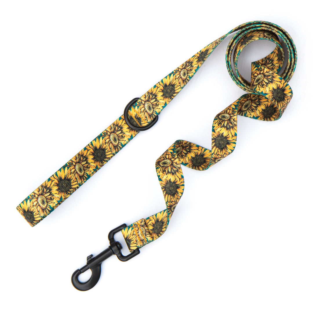 A dog leash with a vibrant yellow and green sunflower pattern, featuring black hardware including a swivel snap hook and a metal D-ring, displayed on a clean white background.