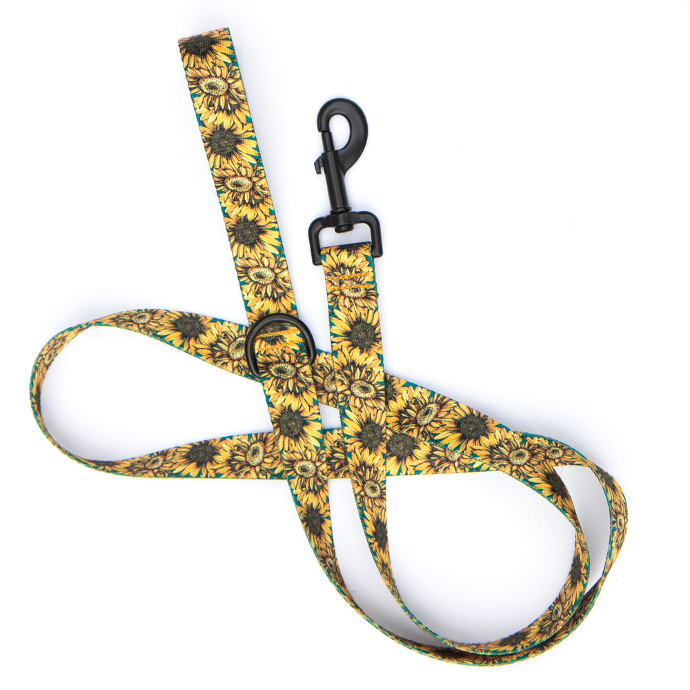 A fabric dog leash with a yellow and black sunflower pattern, featuring a black metal clasp and a matching black ring, laid flat on a white background.