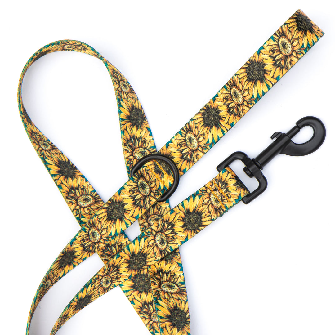 The Sunflower Leash