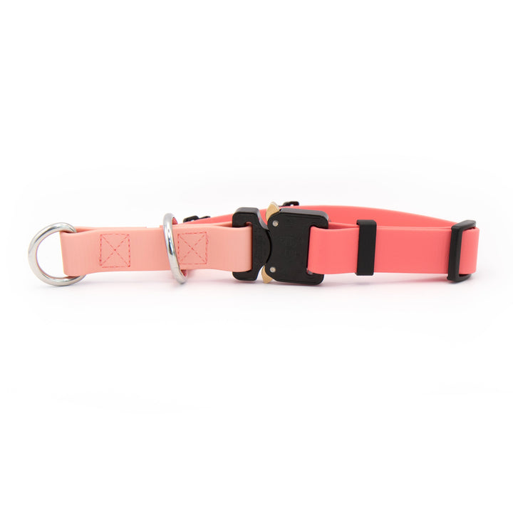 Fi Compatible 3/3+ Limited Slip Adjustable BioThane® Pet Collar With Quick Release Buckle | Waterproof Dog Gear