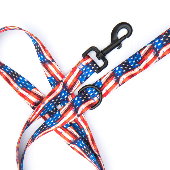 A close-up of a dog leash with a printed American flag pattern, featuring red and white stripes and white stars on blue, with black metal hardware on a white background.