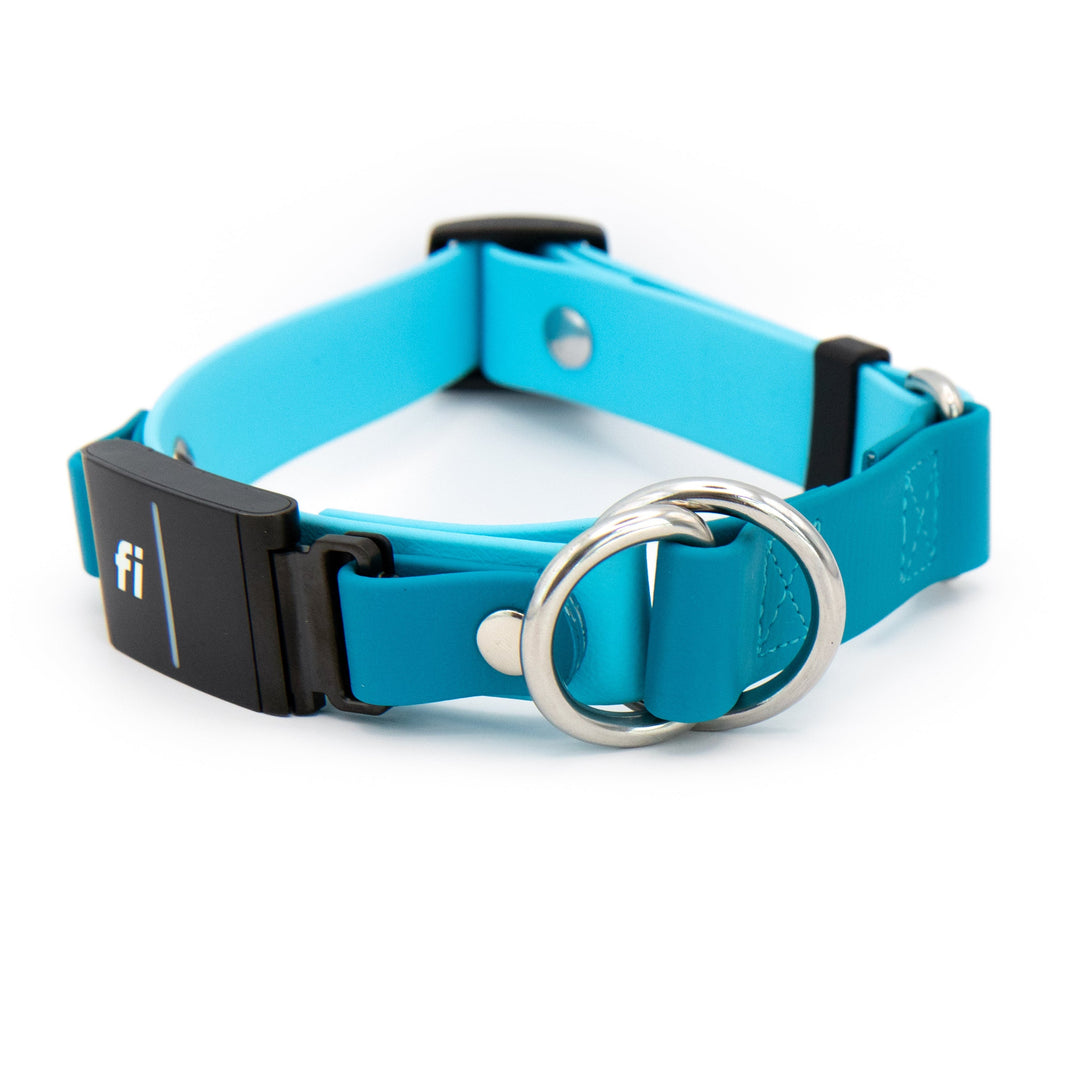Fi Compatible 3/3+ Limited Slip Adjustable BioThane® Pet Collar | Waterproof Dog Gear