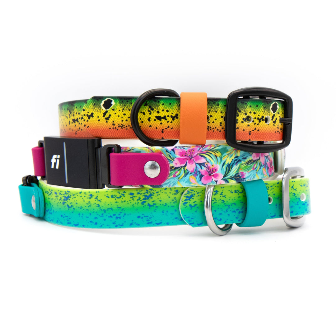Fi Compatible 3/3+ UV-Printed BioThane® Collars | Waterproof Fi Compatible Gear