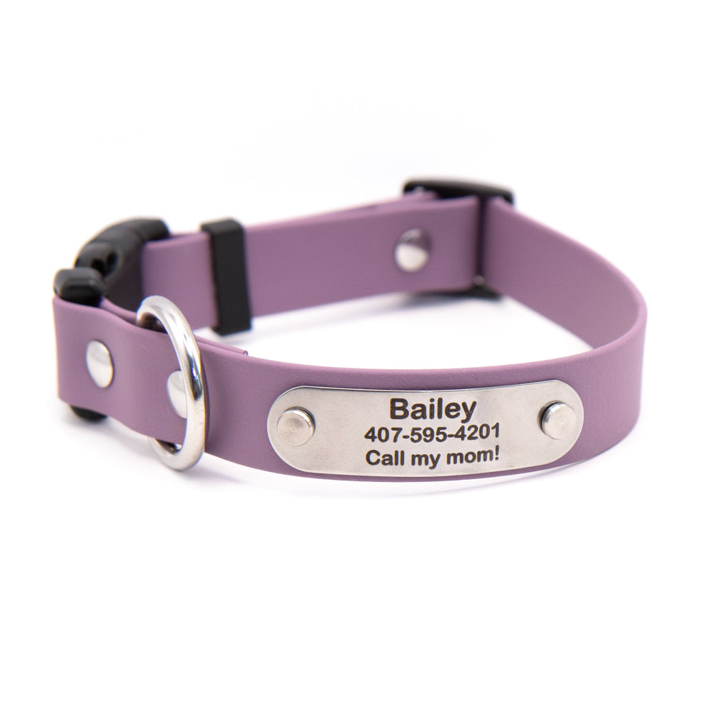 Waterproof Dog Collar With Personalized Stainless Steel Nameplate