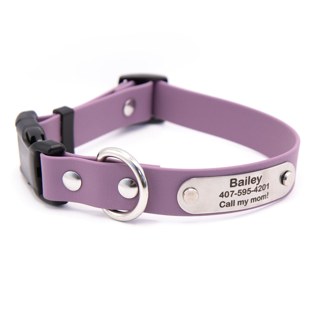Waterproof Dog Collar With Personalized Stainless Steel Nameplate