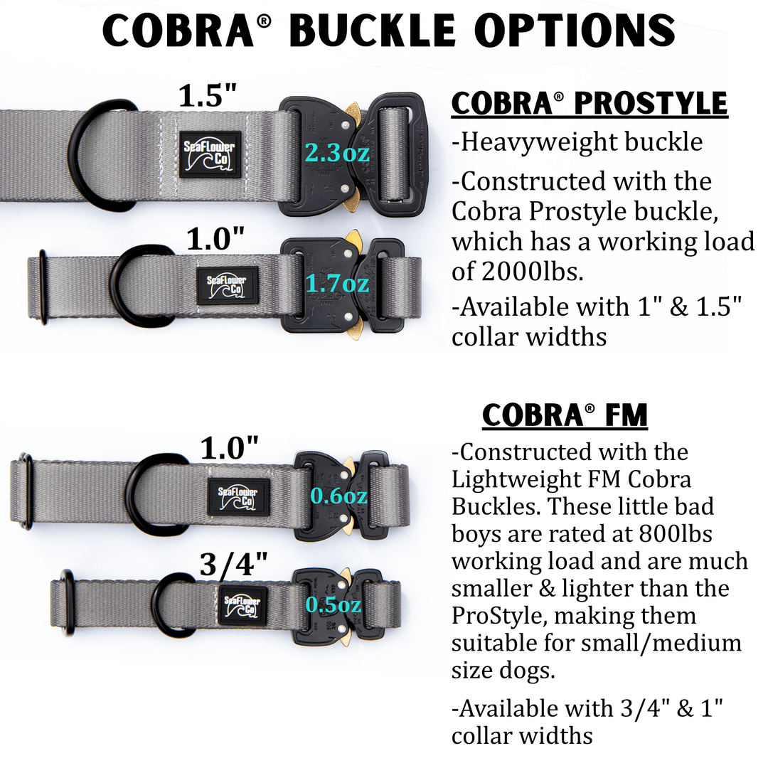 Fi Compatible Series 3/3+ Limited Slip Adjustable BioThane® Collar With Buckle