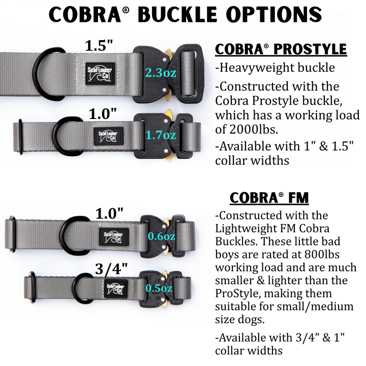 Fi Compatible Series 3/3+ Limited Slip Adjustable BioThane® Collar With Buckle