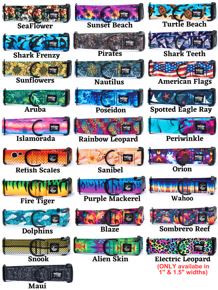 Fi Compatible Series 3/3+ Collars