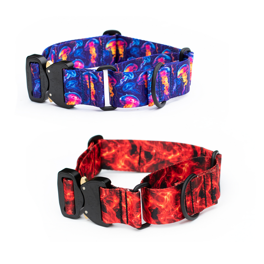 Martingale Collar With Buckle | SeaFlower Co