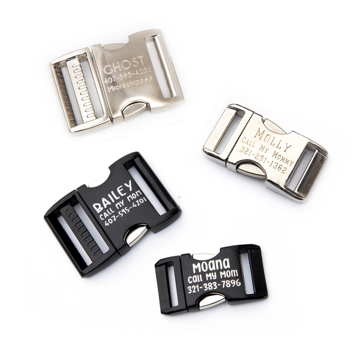 BioThane® Collar With Personalized Buckle