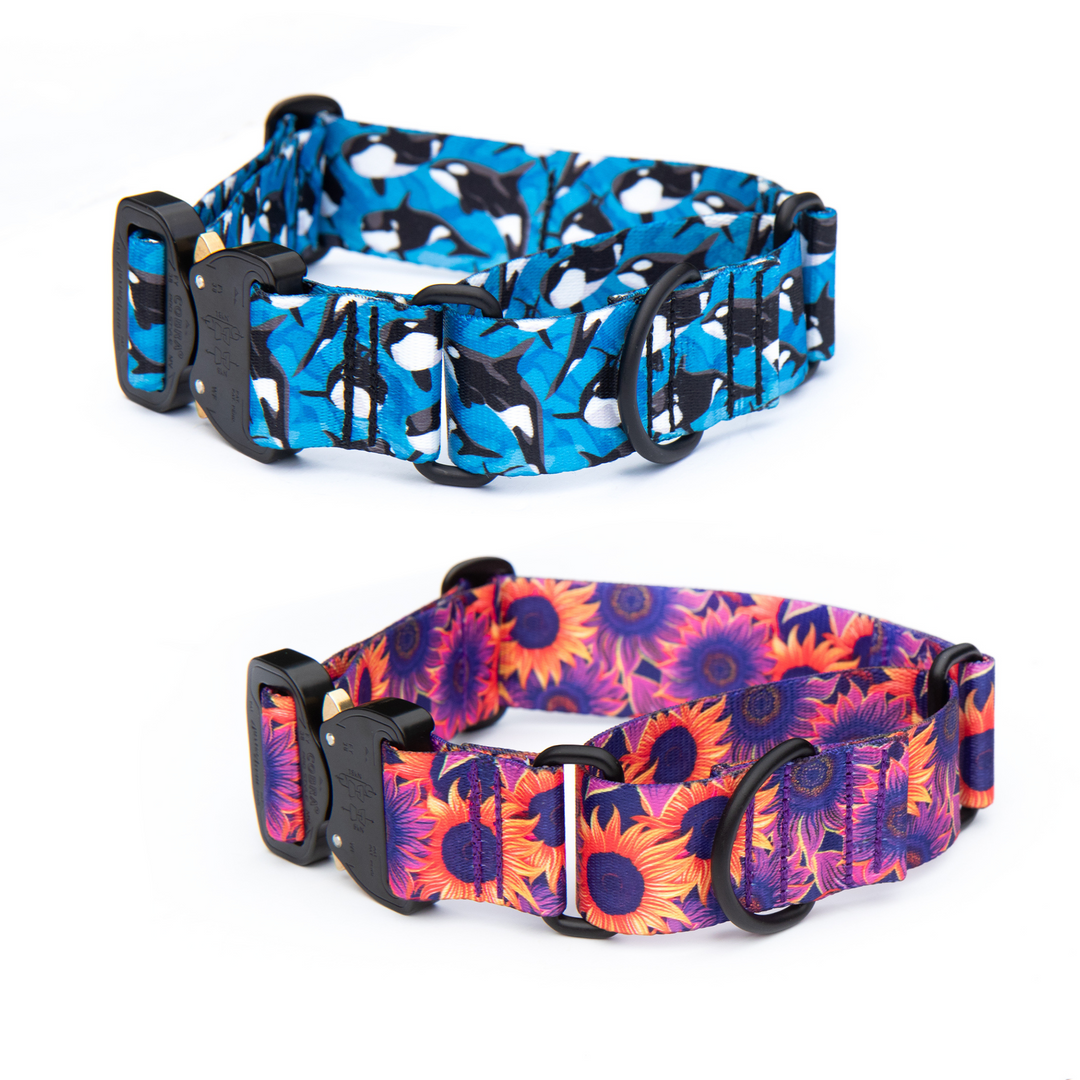 Martingale Collar With Buckle | SeaFlower Co