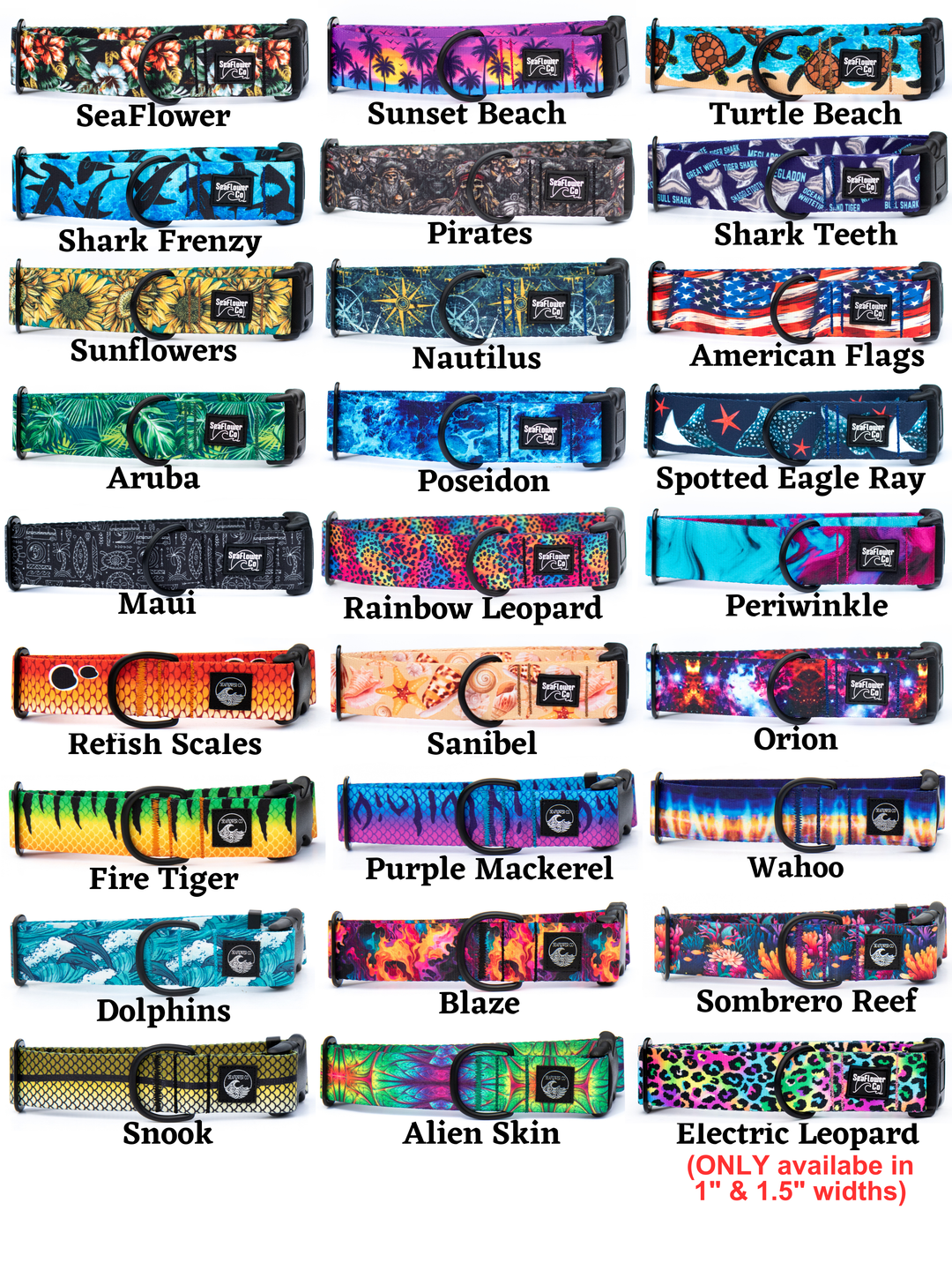 Martingale Collar With Buckle