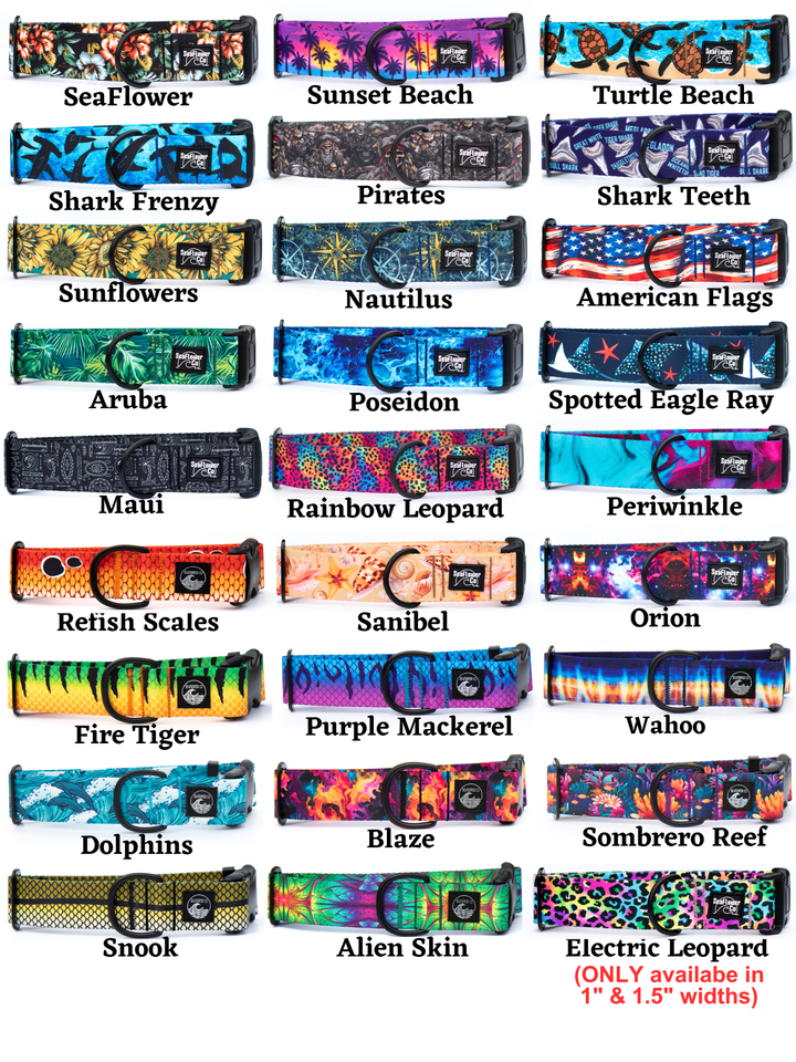 Martingale Collar With Buckle