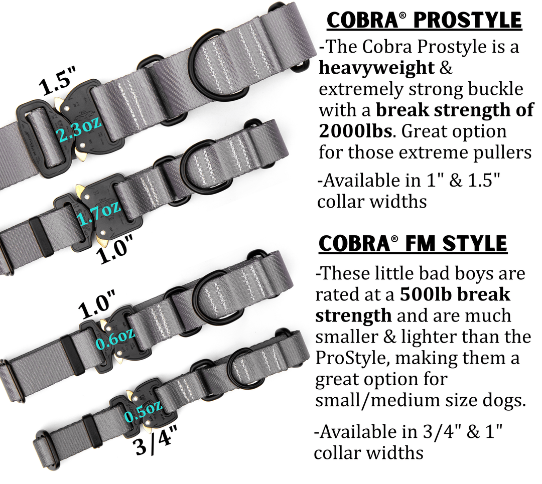 Fi 3/3+ Compatible Martingale Collar With Buckle