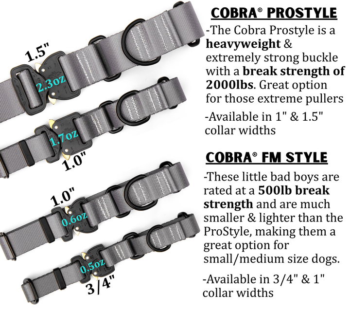 Fi 3/3+ Compatible Martingale Collar With Buckle