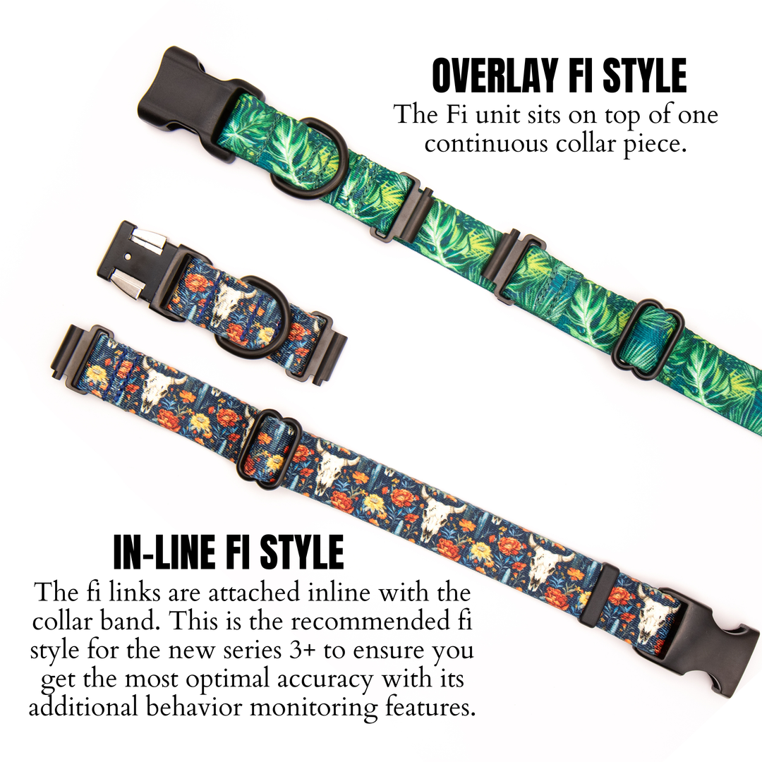 Fi 3/3+ Compatible Martingale Collar Without Buckle | 40+ Designs