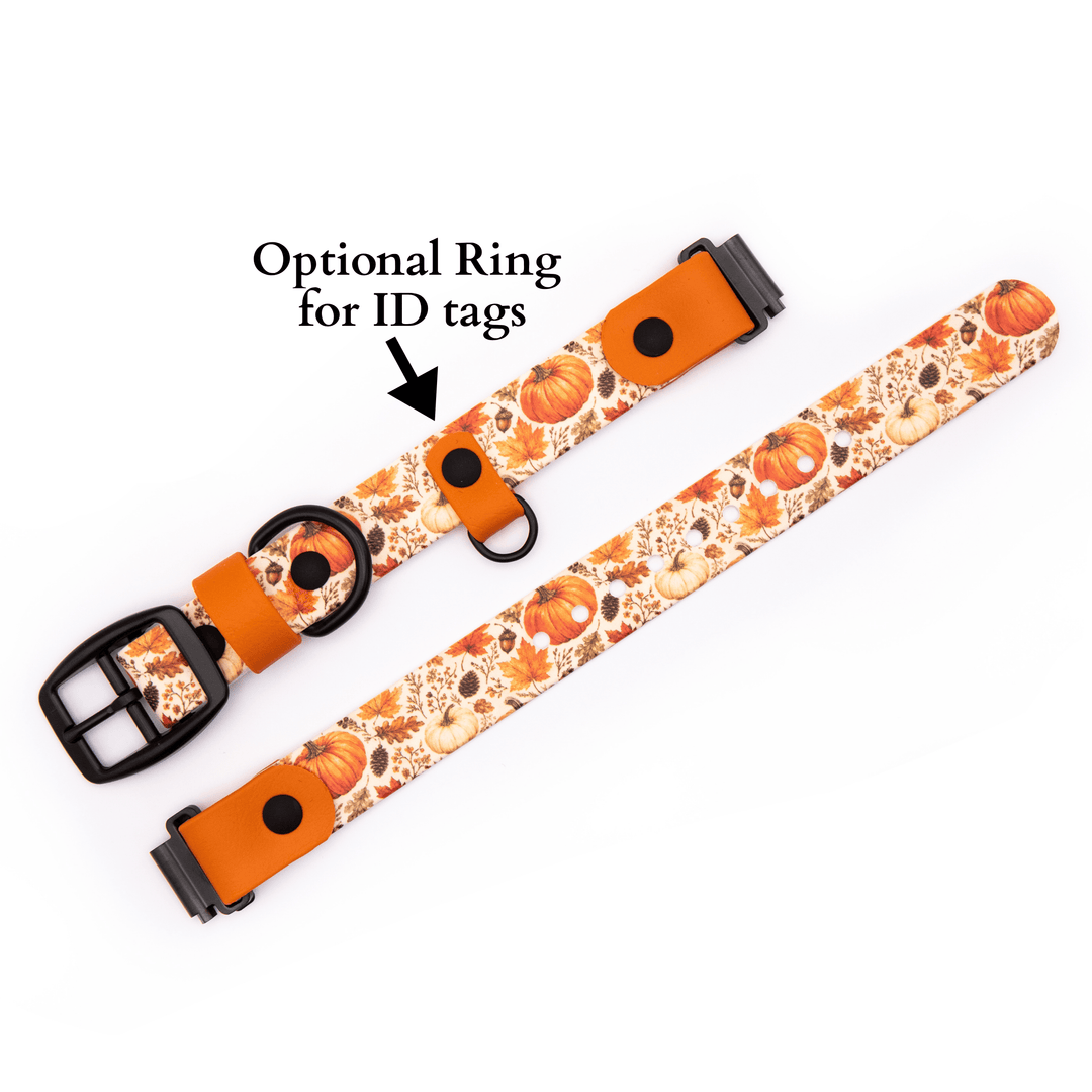 Autumn Fi Compatible 3/3+ UV-Printed BioThane® Classic Buckle Collar