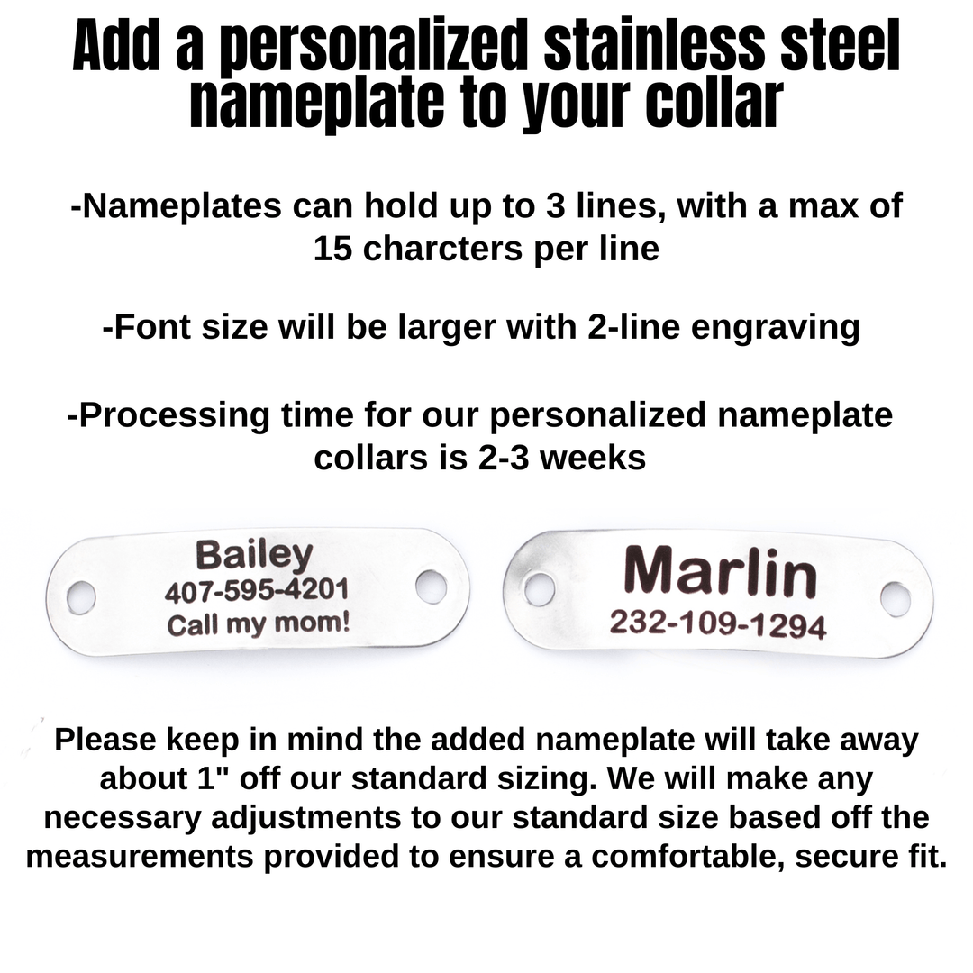 1" Width BioThane® Martingale Collars