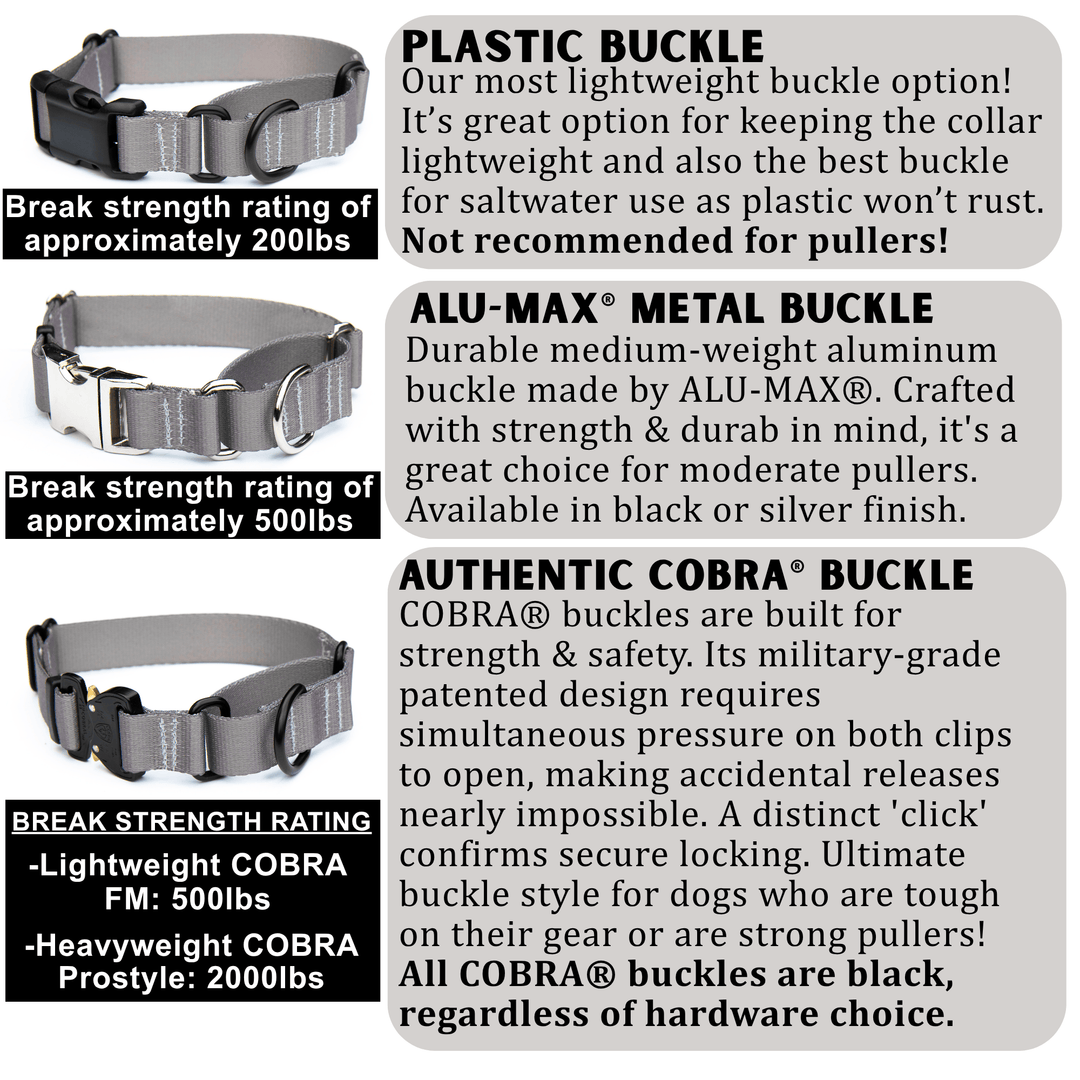 Martingale Collar With Buckle