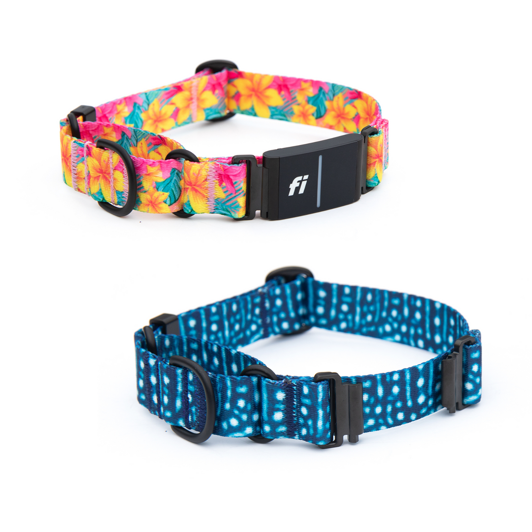 Fi Series 3/3+ Compatible Martingale Collar Without Buckle