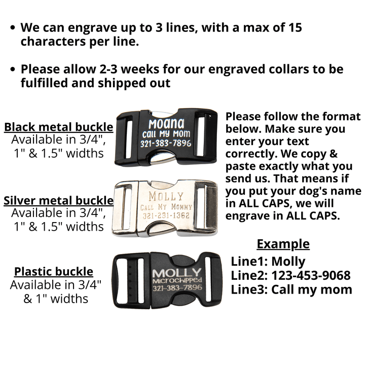 BioThane® Collar With Personalized Buckle