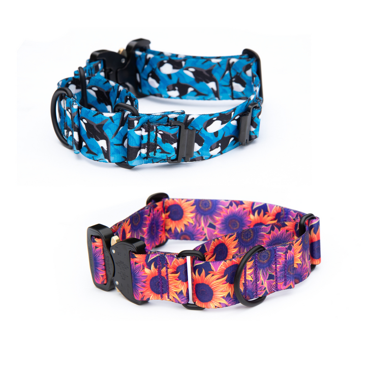 Fi Compatible Series 3 Martingale With Buckle | SeaFlower Co