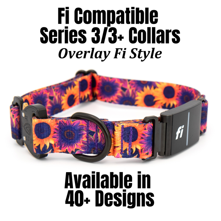 Fi Compatible Series 3/3+ Collars | SeaFlower Co