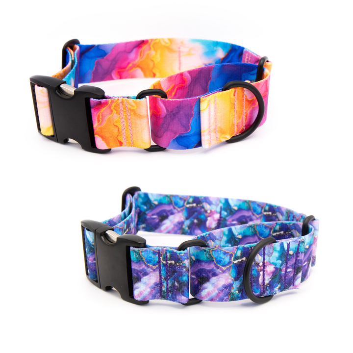 Martingale Collar With Buckle