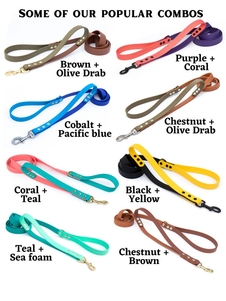 BioThane® Leashes With Traffic Handle