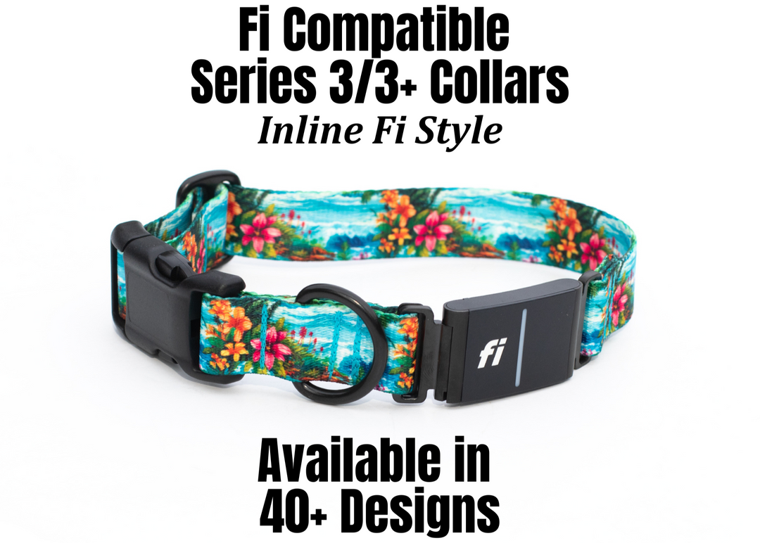FI Compatible Series 3/3+ Collars | SeaFlower Co