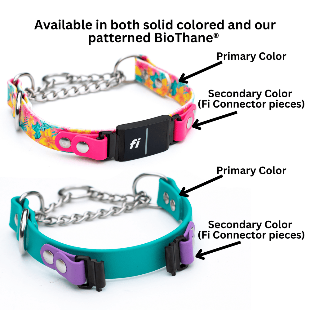 Fi 3 Compatible Waterproof Martingale