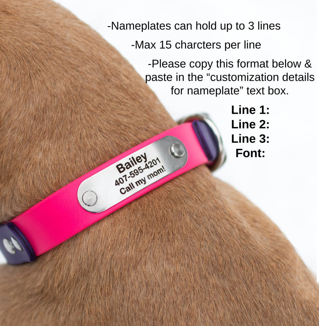 BioThane® Collars With Personalized Nameplate