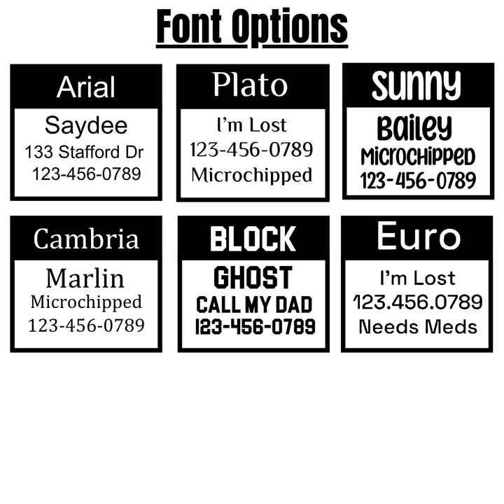 BioThane® Collar With Personalized Buckle