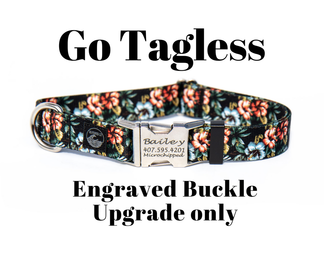 Upgrade To Personalized Buckle | Only Available for 3/4" & 1" Collar Widths